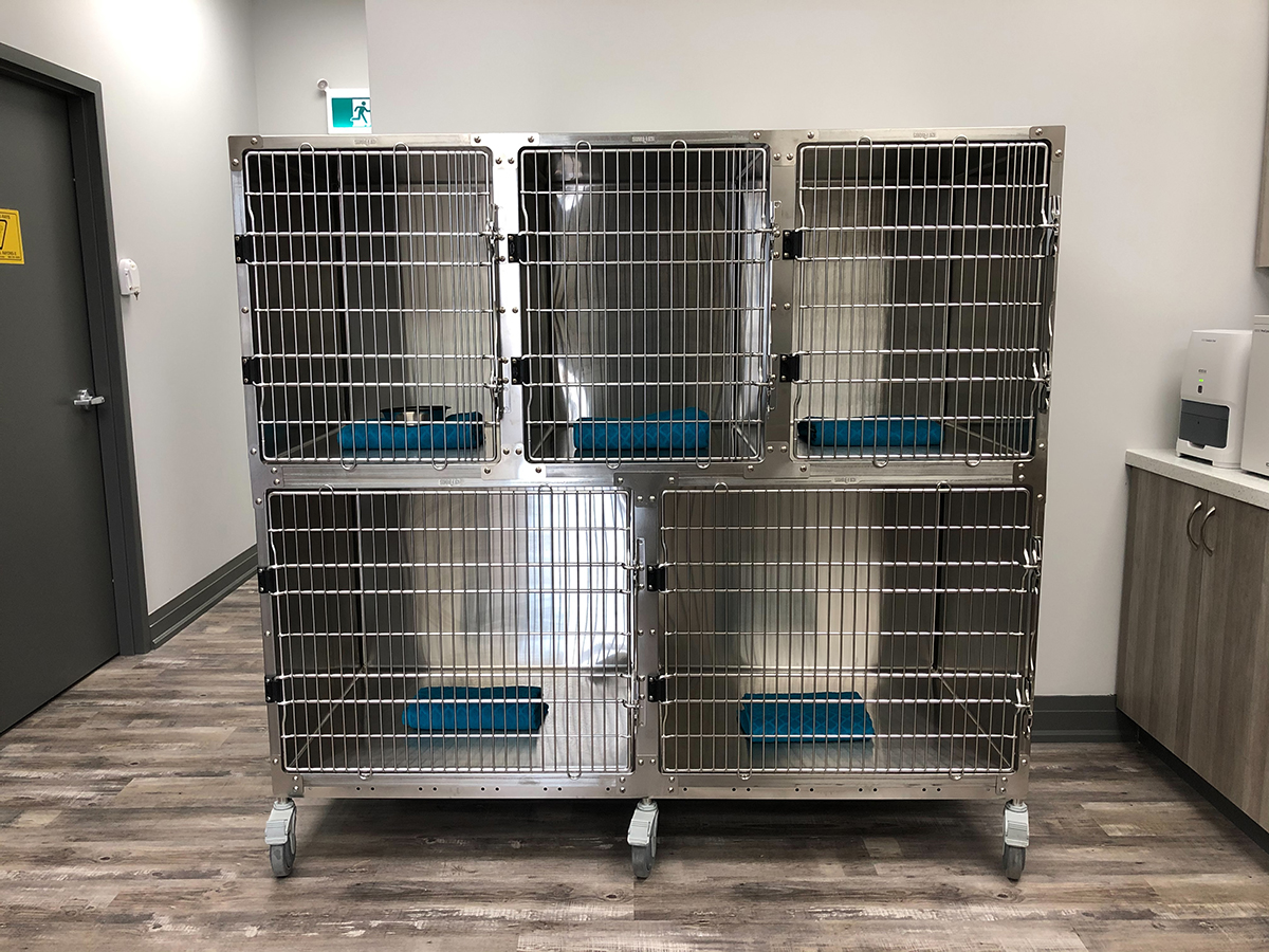 Recovery Kennels